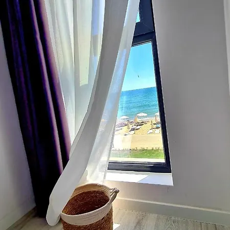 Cactus Apartment